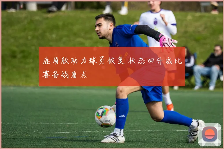 鹿角胶助力球员恢复 状态回升成比赛备战看点
