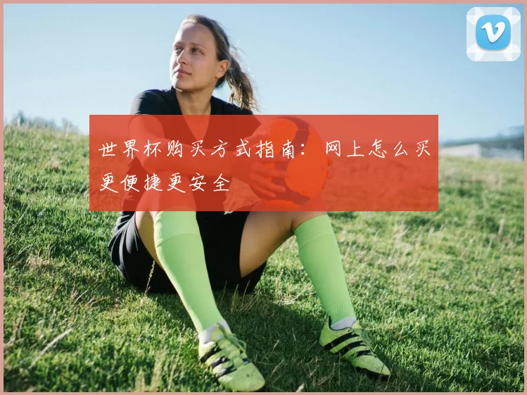 世界杯购买方式指南:网上怎么买更便捷更安全