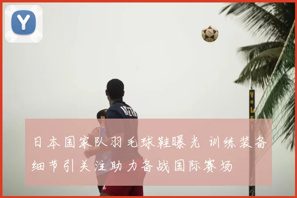 日本国家队羽毛球鞋曝光 训练装备细节引关注助力备战国际赛场