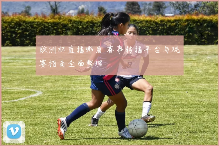 欧洲杯直播哪看 赛事转播平台与观赛指南全面整理