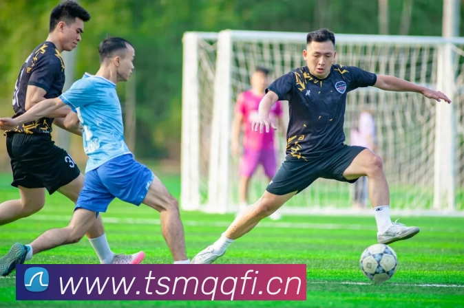 多媒体互动体验